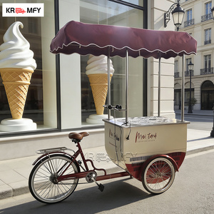 Carrito de Venta de Helados Móvil, Remolcable, Metálico, Resistente a la Oxidación, para Exteriores, para Venta de Snacks - Product Image 4