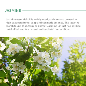 Hoa nhài tinh dầu Nhà sản xuất cung cấp 100% tinh khiết hoa nhài tự nhiên dầu thơm cho nước hoa xà phòng nhãn hiệu riêng & OEM - Product Image 5