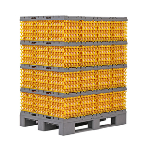Systèmes en plastique sûrs et rentables de palette d'oeufs pour le transport d'oeufs - Product Image 4