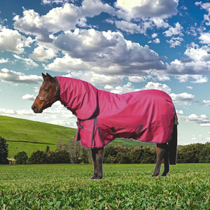 Manta para Caballos CST de Alta Calidad, Impermeable, Transpirable, Personalizable, de Poliéster Resistente, para Uso en Doma Clásica, para Todas las Estaciones - Product Image 3