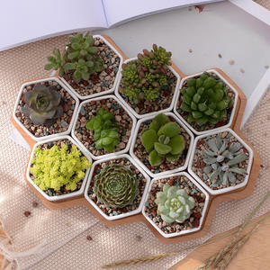 <span class=keywords><strong>Pot</strong></span> de fleurs créatif en céramique blanche hexagonale avec support en bambou et doublure, idéal pour plantes succulentes, décoration de jardin et de maison - Nouveauté ! - Product Image 5