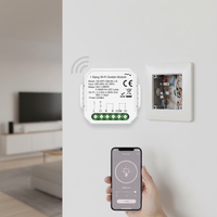 Interrupteur mural Wi-Fi 240V 16A en matériau PC, sans dérivation, avec contrôle par interrupteur externe, compatible Smart Life, IP20