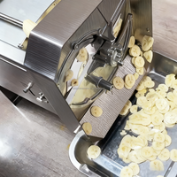 Trancheuse à bananes électrique entièrement automatique pour la fabrication de chips de bananes, machine à couper les chips de plantain, découpe commerciale, transformation alimentaire