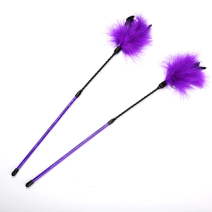 Bâtonnet interactif rétractable en <span class=keywords><strong>bois</strong></span> couleur ivoire pour animaux de compagnie, jouet amusant avec plumes de poulet pour jeu d'intérieur - Product Image 3