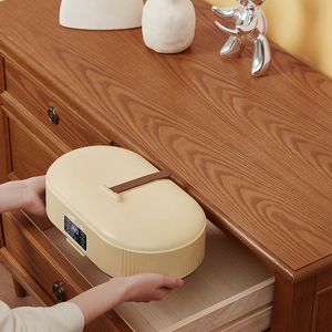 Sèche-linge automatique miniature portable pliable, cintre pliable, chauffage électrique, plastique, usage domestique, hôtel, intelligent - Product Image 5