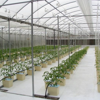 Système hydroponique en seau hollandais avec coudes de siphon, pot de culture hors-sol à recirculation pour la plantation de légumes et de fruits en serre