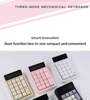 Teclado USB Mini Portátil Rosa al por Mayor, 17 Teclas, Teclado Numérico para Contabilidad Financiera, Nuevo, Mecánico, de Plástico