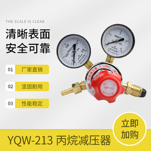 ตัวปรับแรงดัน Tianchuan รุ่น YQW-213 0.16*2.5Mpa วาล์วลดแรงดันโพรเพน - Product Image 5
