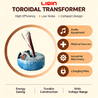Noyau toroïdal de haute qualité 50W-5000W entrée 110V 120V transformateur de noyau d'anneau pour amplificateur audio