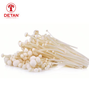 Chine Champignon frais de haute qualité Origine Jamur Enoki - Product Image 3