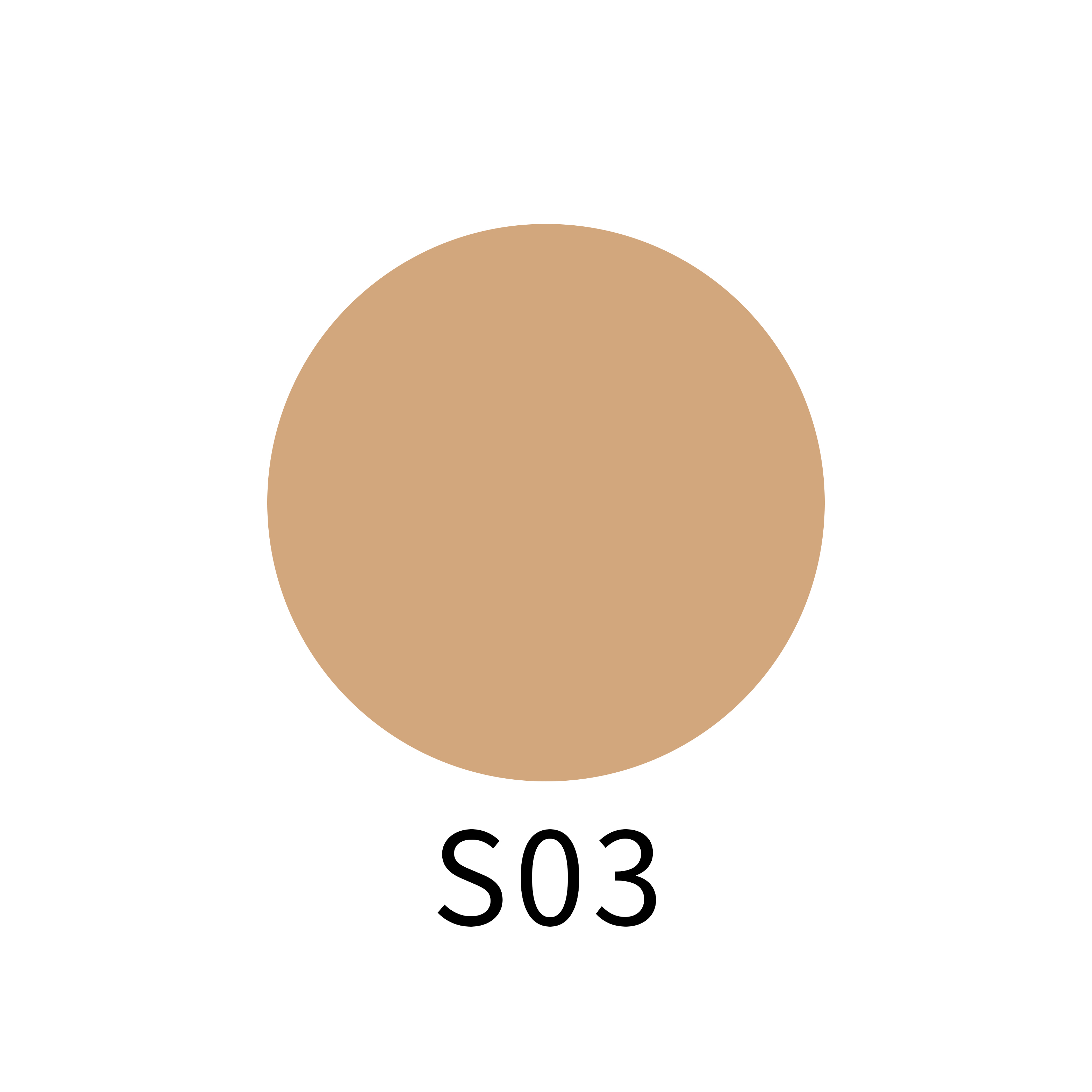 S03