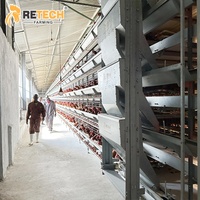 Système d'Élevage en Batterie Automatique de Type H pour 40 000 Volailles, Équipement Avicole pour Poules Pondeuses avec Cages d'Alimentation