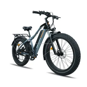 Custom logo & color M20 1000w 48V 16Ah big power lithium battery CST 20"*4.0" fat tires mountain electric bike motorcycle