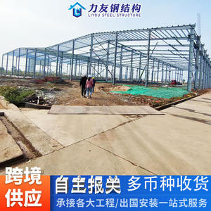 Servicios de Diseño y Fabricación de Estructuras de Acero Modernas para Hospitales, Talleres y Almacenes de la Fábrica Liyou en Guangdong - Product Image 3