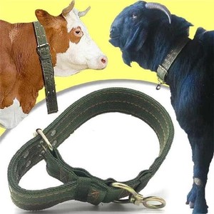 Attrezzatura per <span class=keywords><strong>Animali</strong></span> da Fattoria, Corda Speciale da 1M per Collare di Bovini e Ovini, Cinghia per Collo di Bestiame, Nuovo Cinturino in Tela Resistente a 4 Strati in Nylon - Product Image 5