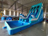 Nouveau design, thème océan, toboggan gonflable commercial pour enfants et adultes, toboggan aquatique avec piscine DWF