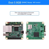 Carte de développement GGDX Milk-V S avec processeur C906 RISC-V ARM, compatible SG2000, fonctionnalités Linux et Android, pour programmeurs