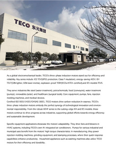 TECO TEBY 0.75KW-355KW trifase asincrono AC a prova di esplosione del motore elettrico 400V 50Hz piede Mount IE3 efficienza AFBYX1 - Product Image 6