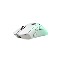 Souris magnétique à micro-mouvement personnalisable, interrupteurs analogiques magnétiques à déclenchement rapide, souris sans fil, capteur PAW3955 8 kHz