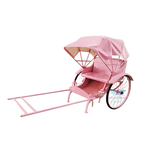Meilleures ventes : Vélo-rickshaw classique à 2 roues, tiré à la main, 2 places, économique - Product Image 1