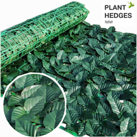 Accueil Balcon Clôture Extérieure Décoration Herbe Mur Plantes Étanche Cour Extérieure Clôture Verte