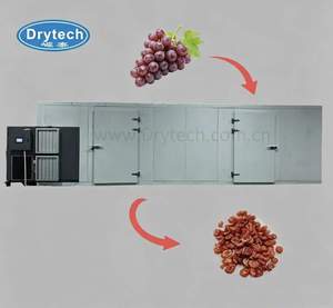 Deshidratador de Alimentos Comercial a Gran Escala, de Acero Inoxidable, Eficiente Energéticamente, Apto para Champiñones Shiitake, Okra y Maíz Dulce - Product Image 6