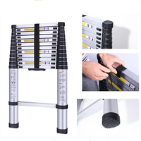 Échelles télescopiques extensibles en aluminium à un seul côté, antidérapantes, faciles à rétracter, portables, 2 m, 2,6 m, 4,1 m, 4,4 m, pour la maison