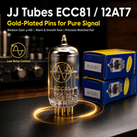 Tube à vide électronique ECC81-G à broches dorées 12AT7, paire assortie avec précision pour préamplificateur de guitare Hi-Fi, inverseur de phase, amplificateur