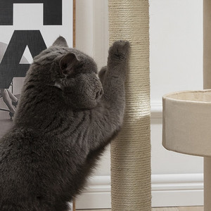 Grote dikke kattenklimrek kattennest kattenboom geïntegreerd hoog model makkelijk te onderhouden Japans sisal geweven houten kartonnen vier seizoenen - Product Image 3