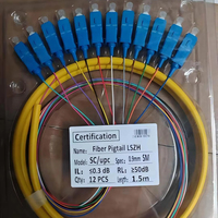 Precio de fábrica Paquete de fibra óptica 12 Fibra 12 piezas Fibra Pigtail LSZH 0,9mm SM 1,5 m FTTH G652D Fibra Optica Pigtails