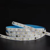 Bande LED intelligente monocouleur pour extérieur, IP20, télécommande, 120 LED, effet d'eau courante, contrôleur 24V