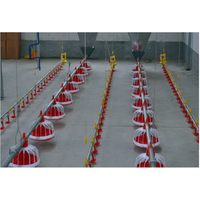 Muhe Ligne d'alimentation automatique pour poulets de chair de ferme avec bac d'alimentation pour volailles Longue durée de vie