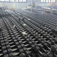 Équipement de fitness commercial, haltères en caoutchouc pour salle de sport, haltères hexagonaux en fonte pour la maison, ensemble d'haltères
