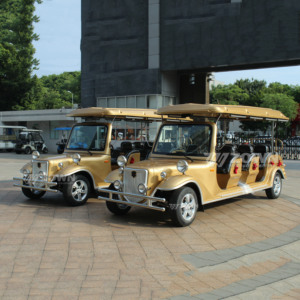 ZOWN <b>8</b> Seater Vintage Electric Classic Car with Roof for Scenic Spot Tours & Hotel Reception - Product Image 1