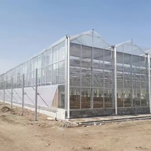 Chi phí thấp đa span nhà kính thiết bị nông nghiệp autom 40x100 phim nhà kính cấu trúc để bán - Product Image 2