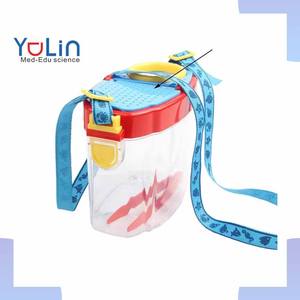 Kit d'exploration pour enfants de maternelle, boîte d'observation et de collecte d'insectes, jouet éducatif pour les enfants de 5 à 7 ans, plastique transparent - Product Image 1