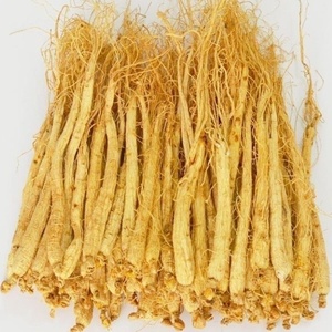 Racine de ginseng <span class=keywords><strong>blanc</strong></span> premium de la montagne de Changbai, matière première séchée pour les fabricants de sachets de thé/boissons, vente en gros - Product Image 2