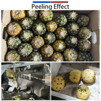RVS commerciële fruit- en groenteschilmachine voor ananas, appel en peer, CE-gecertificeerd, duurzaam en zeer efficiënt