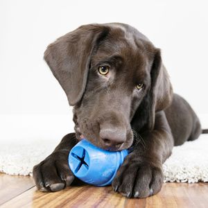 Jouet à mâcher résistant en caoutchouc naturel KONG LEO Genius pour petits chiens, jouet interactif pour cacher de la nourriture, pour le nettoyage des dents et le soulagement de l'anxiété - Product Image 2