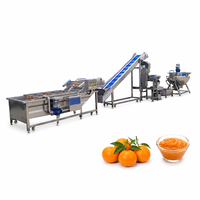 Turnkey-oplossing voor fruitjam- en pasta-verwerkingsfabriek, productielijn voor bosbessen- en aardbeienjam