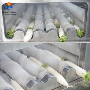 Machine de lavage à brosse souple personnalisée pour fruits et légumes racineux avec réservoir de trempage et sécheuse à ventilateur - Product Image 4