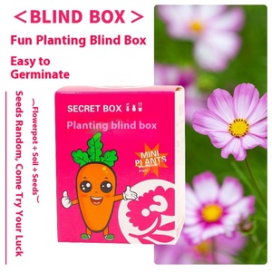 Venta al por mayor <span class=keywords><strong>Mini</strong></span> plástico DIY juegos de bloques de construcción de jardín de infantes observación maceta alumno semilla juguete para niños jardín de infantes plantación - Product Image 3