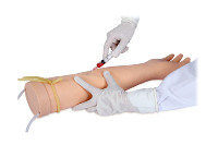 Maniquí de brazo de inyección intravenosa de silicona modelo anatómico para Educación de Ciencias Médicas en las escuelas