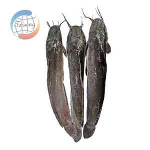 Pesce Gatto Congelato Intero di Grandi Dimensioni per Hot Pot, Confezione per Esportazione all'Ingrosso - Product Image 5