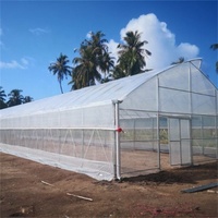 Grande Serre Gothique avec Double Couche PE Serre Tropicale Hydroponique pour Tomates Serre Double Couche en Dents de Scie
