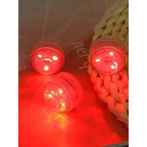 Ming Anjia <b>Mini</b> <b>Led</b> Lantern Winter Melon Shape Waterproof Decorative <b>Light</b> Button Battery Party Lighting - Product Image 2
