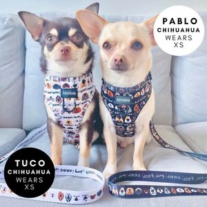 OEM & ODM kustom tali anjing peliharaan tali mewah besar dapat disesuaikan dan Set tali Neoprene bahan fitur personalisasi - Product Image 4