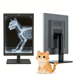 Moniteur médical vétérinaire et chirurgical à rayons X de 21,3 pouces 3MP, fabriqué en Chine pour hôpitaux vétérinaires - Product Image 1