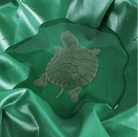 Tissu d'ombrage de bâche imperméable pour l'extérieur Protection solaire enduite de PVC Tissu de couverture de volet roulant d'élevage imperméable à la pluie