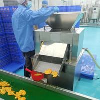 Commerciële Automatische Dubbele Roller Verse Citroen Sinaasappelsap Maken Knijpen Fruit Pers Juicer Machine Prijs